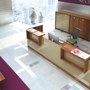 Executive furniture ASSIST